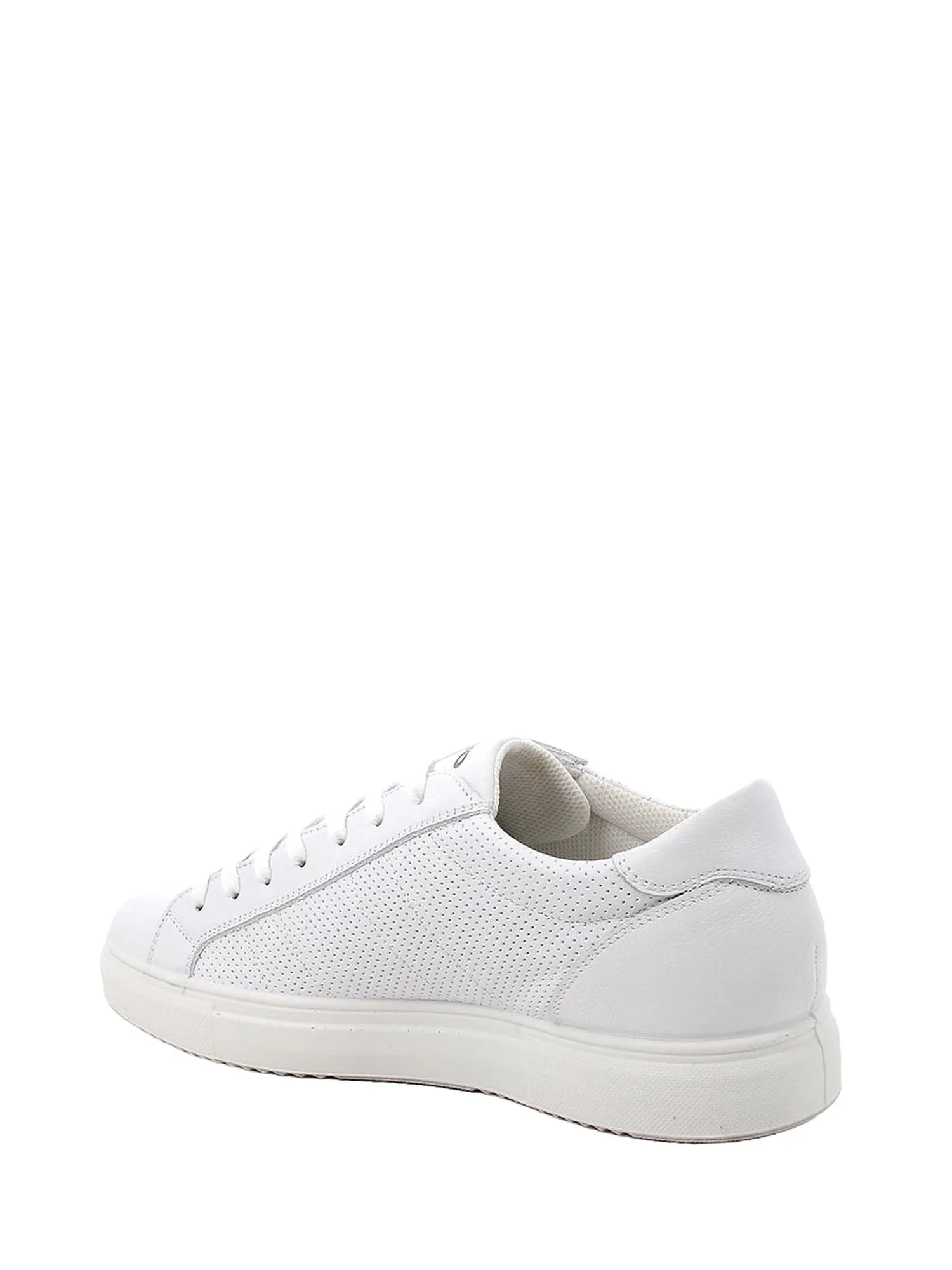 Igi&co Sneakers 5630322